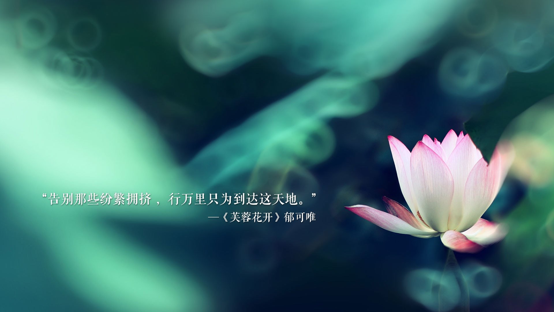 “青春逐梦”青少年篮球科普动画片在全国范围内播出，普及运动知识