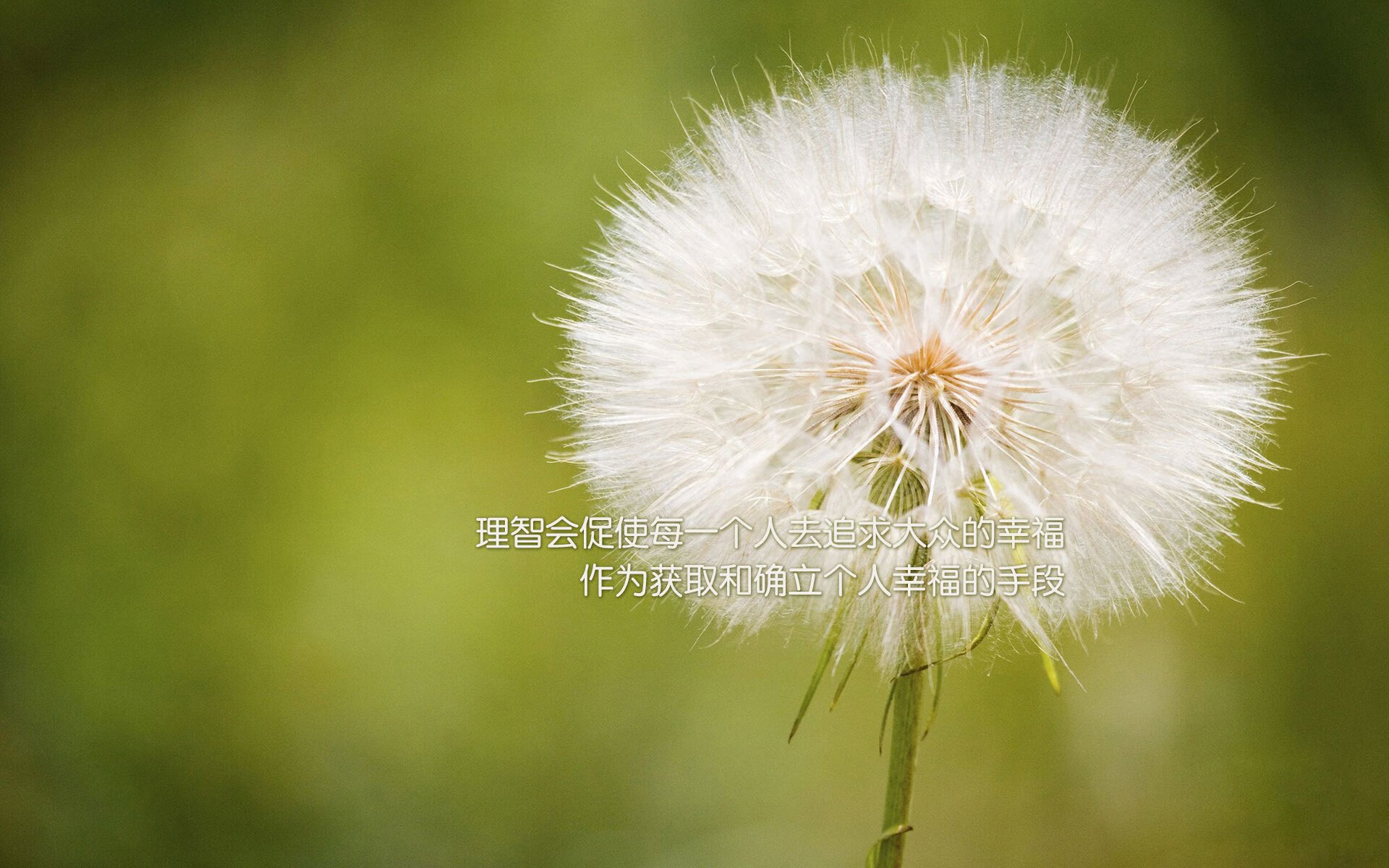 青训“回归”行业本源，重视技能与素养“双提升”，2021职业青训营